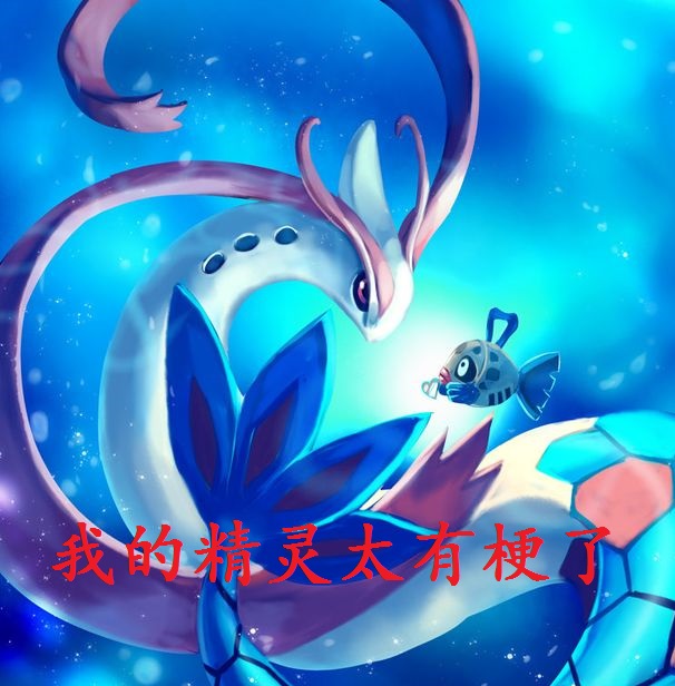 Ngã Đích Pokémon Thái Hữu Ngạnh