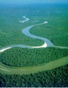 [Việt Nam] Hồi Ức Sông Nile