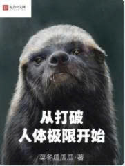 T&ograve;ng Đả Ph&aacute; Nh&acirc;n Thể Cực Hạn Khai Thủy